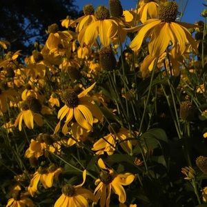 Meet your Posher, Kaitlin